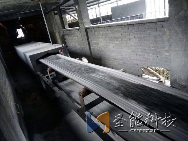 圣能科技<a href='http://bhwkg.cn' target='_blank'><u>電子皮帶秤</u></a>項(xiàng)目