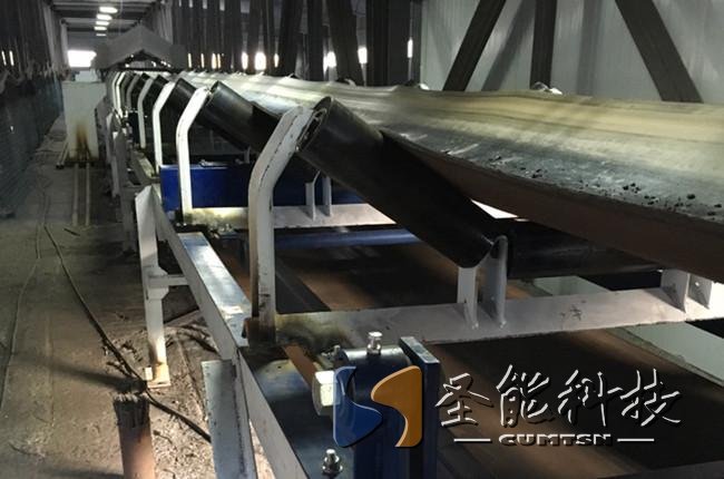 圣能科技<a href='http://bhwkg.cn/' target='_blank'><u>皮帶秤</u></a>案例